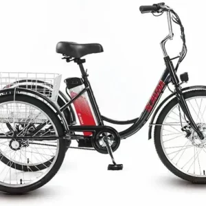 Электровелосипед AVM E-ALFA TRIKE 24