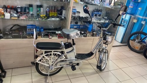 Электровелосипед FAVORIT - POWER4813