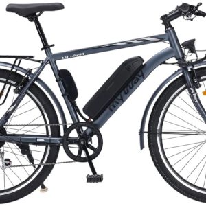 Электровелосипед MyWay Let 1.0 250 26 (19, графитовый)