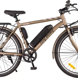 Электровелосипед MyWay Let 250 26 (19, бронзовый)